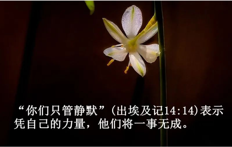 截图20240615061944.png