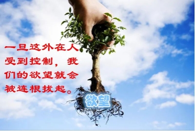 微信截图_20240902211520.png 微信截图_20240902211520.png